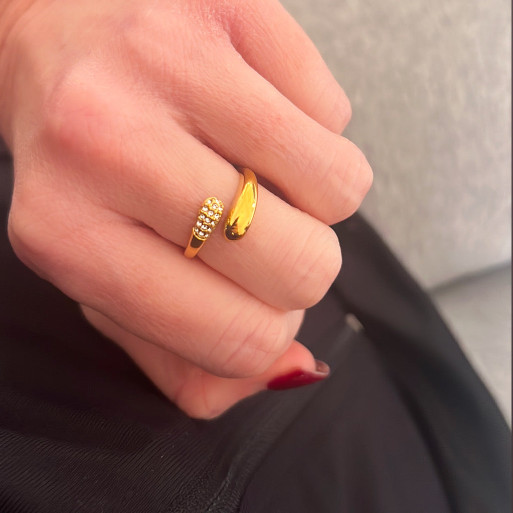 Shanel CZ Stainless Steel Ring