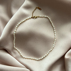 Kelly Petite Pearl Necklace