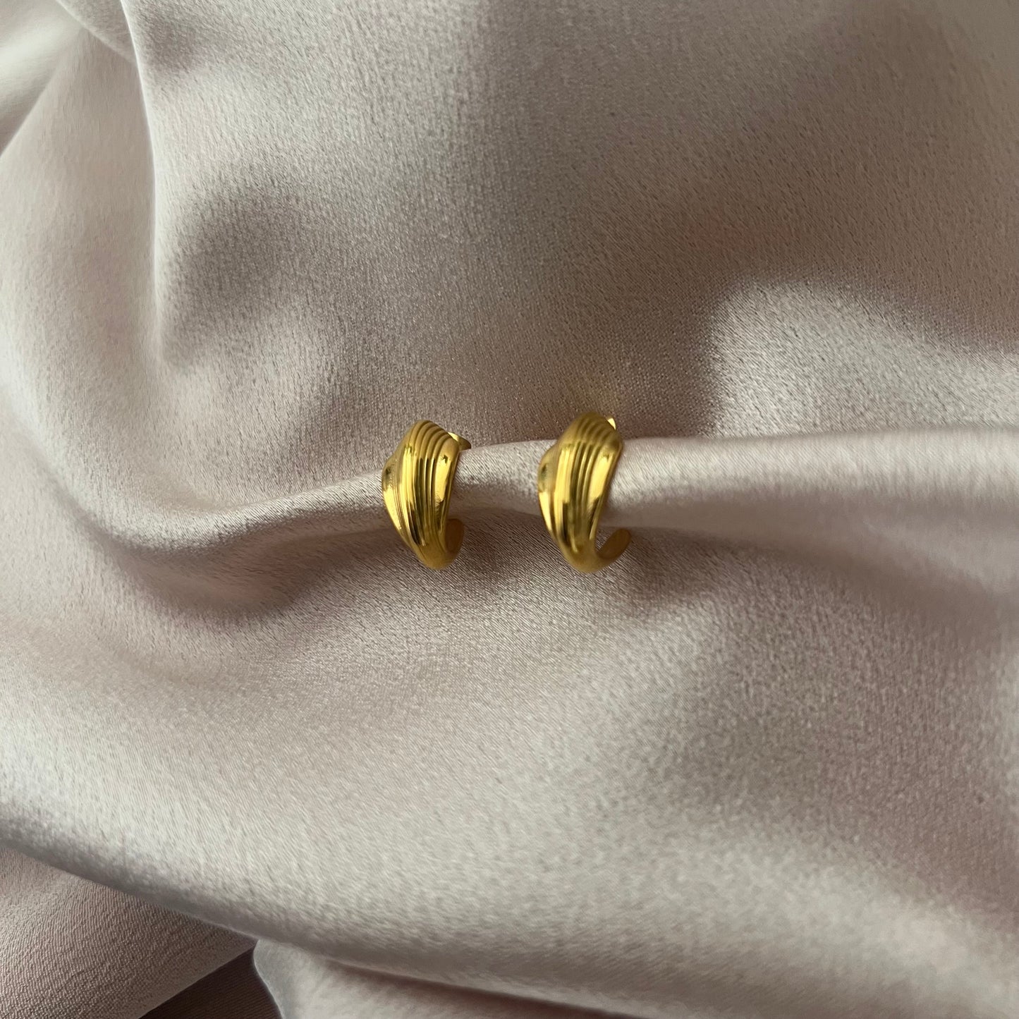 Lilly Stainless Steel Earrings