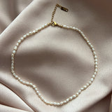 Kelly Petite Pearl Necklace