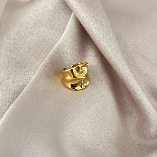 Martine Stainless Steel Ring