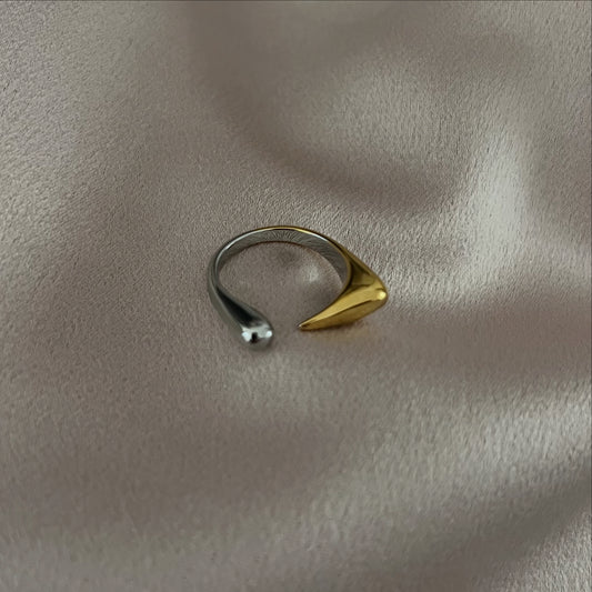 Paola Mixed Metal Ring