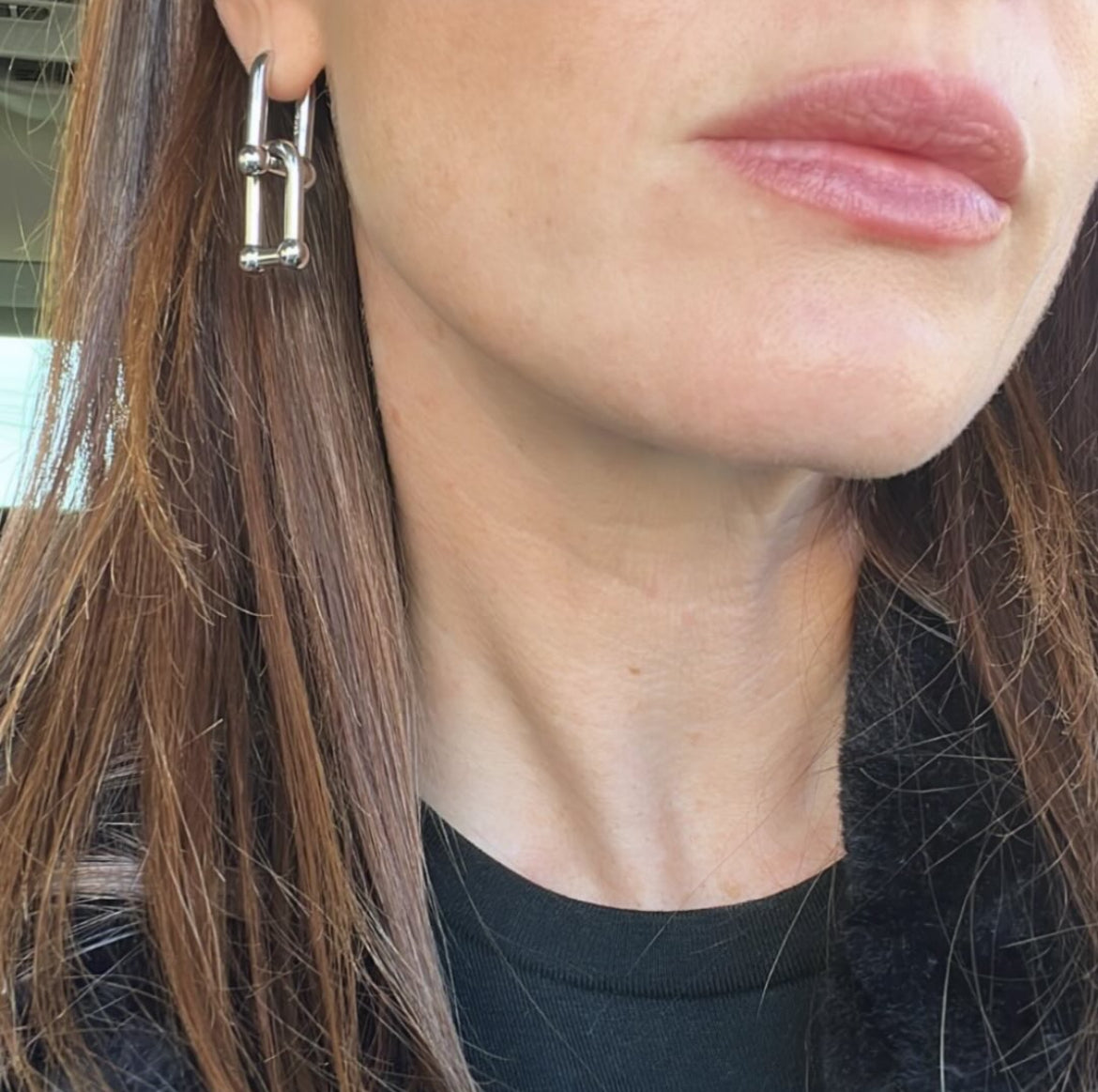 Jenny Link Earrings