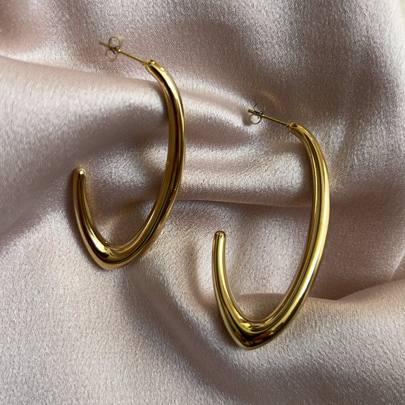 Ezra Stainless Steel Earrings