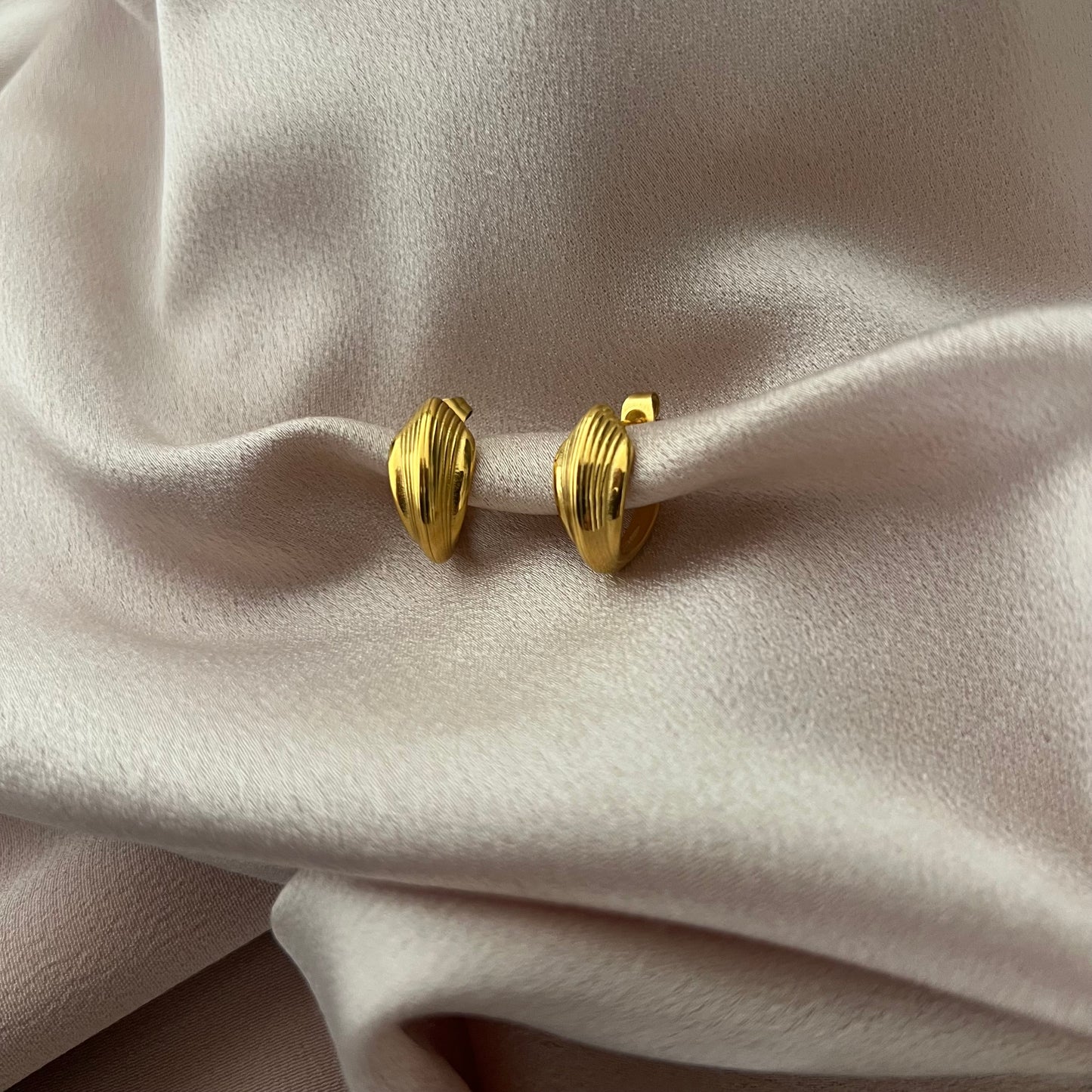 Lilly Stainless Steel Earrings