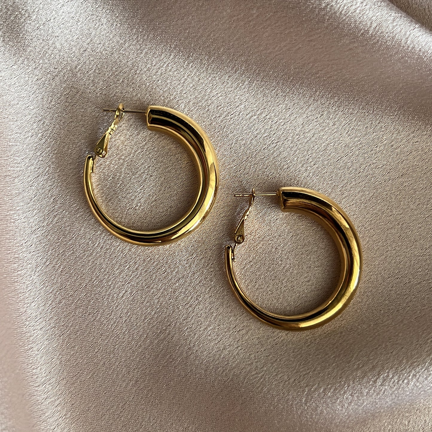 Lena Stainless Steel Hoops